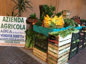 Informazioni sulla nostra azienda - Azienda Agricola Adua 